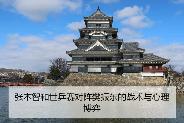 张本智和世乒赛对阵樊振东的战术与心理博弈